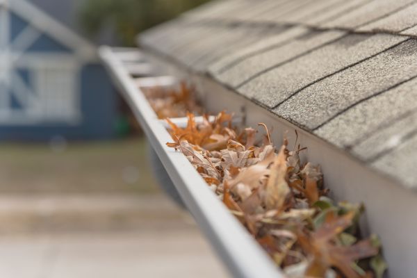 Leaf Barrier Installation in Baton Rouge